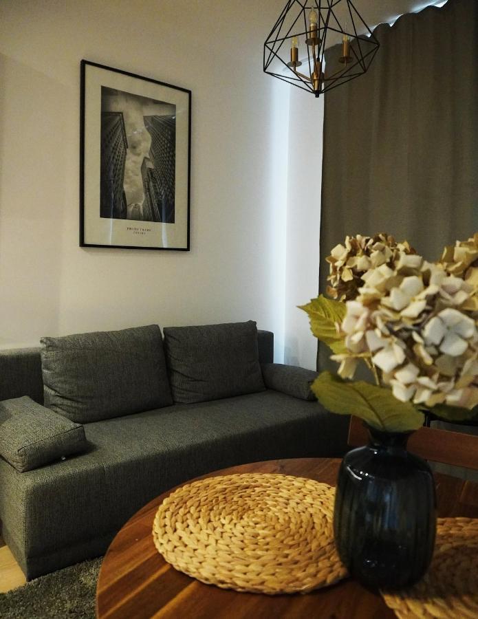 Cozy Apartment In Centrum Downtown Srodmiescie Zelazna Zelazna Jerozolimskie Palace Of Culture And Science! Wifi, Netflix, Hbo, Smarttv 55Cal Warsaw Luaran gambar